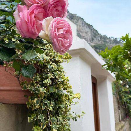 Il Cigno B&B カプリ エクステリア 写真