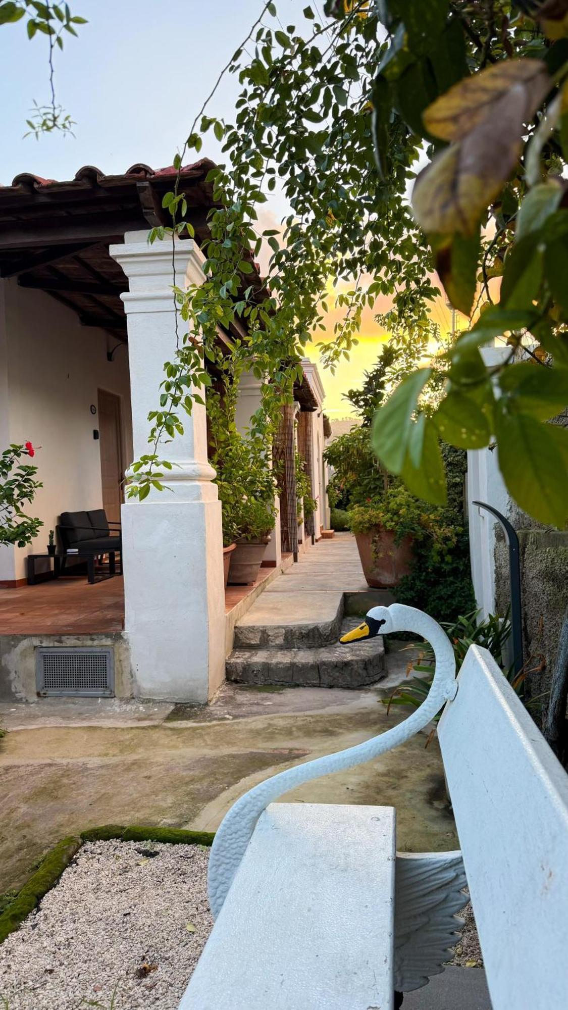 Il Cigno B&B カプリ エクステリア 写真
