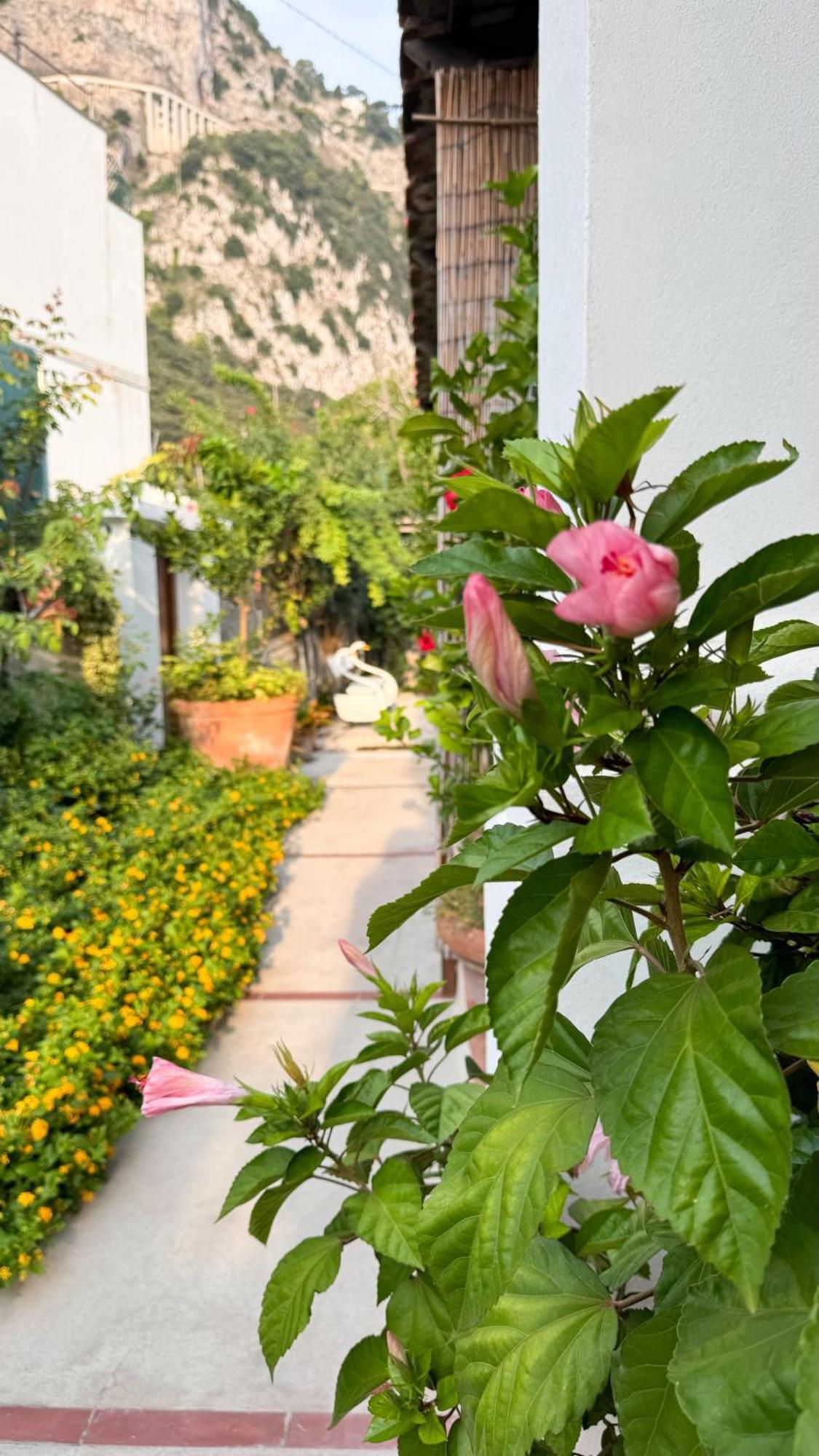 Il Cigno B&B カプリ エクステリア 写真