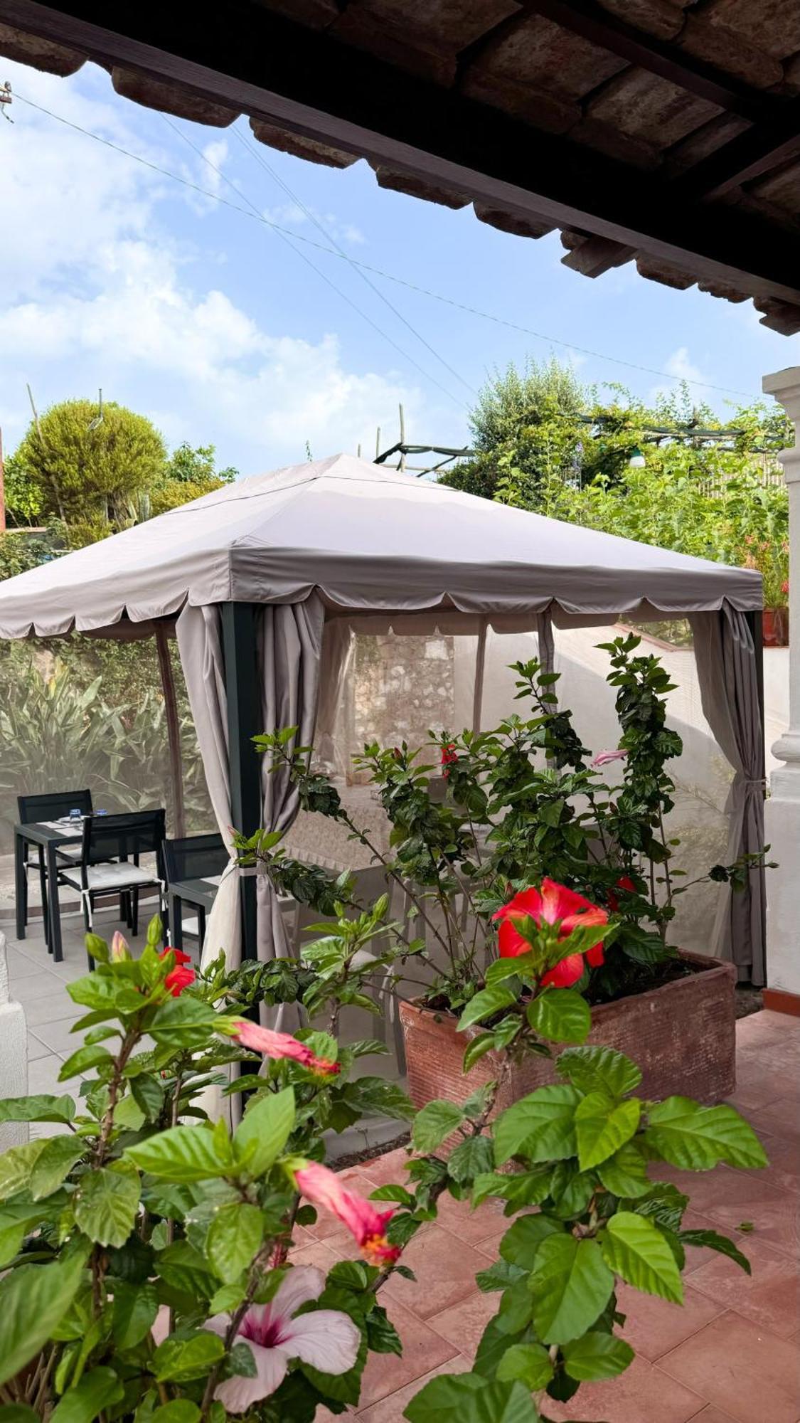 Il Cigno B&B カプリ エクステリア 写真