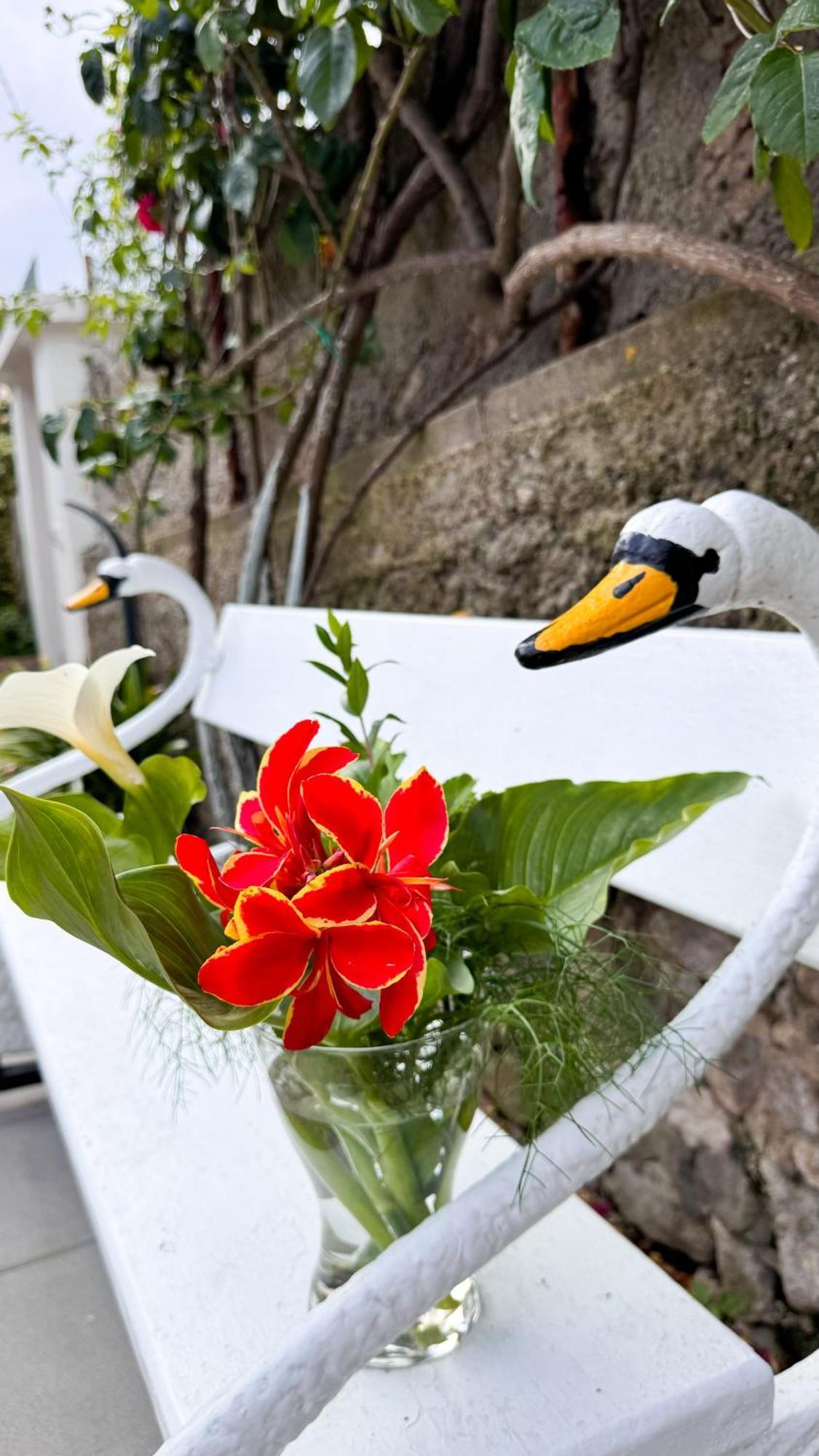 Il Cigno B&B カプリ エクステリア 写真