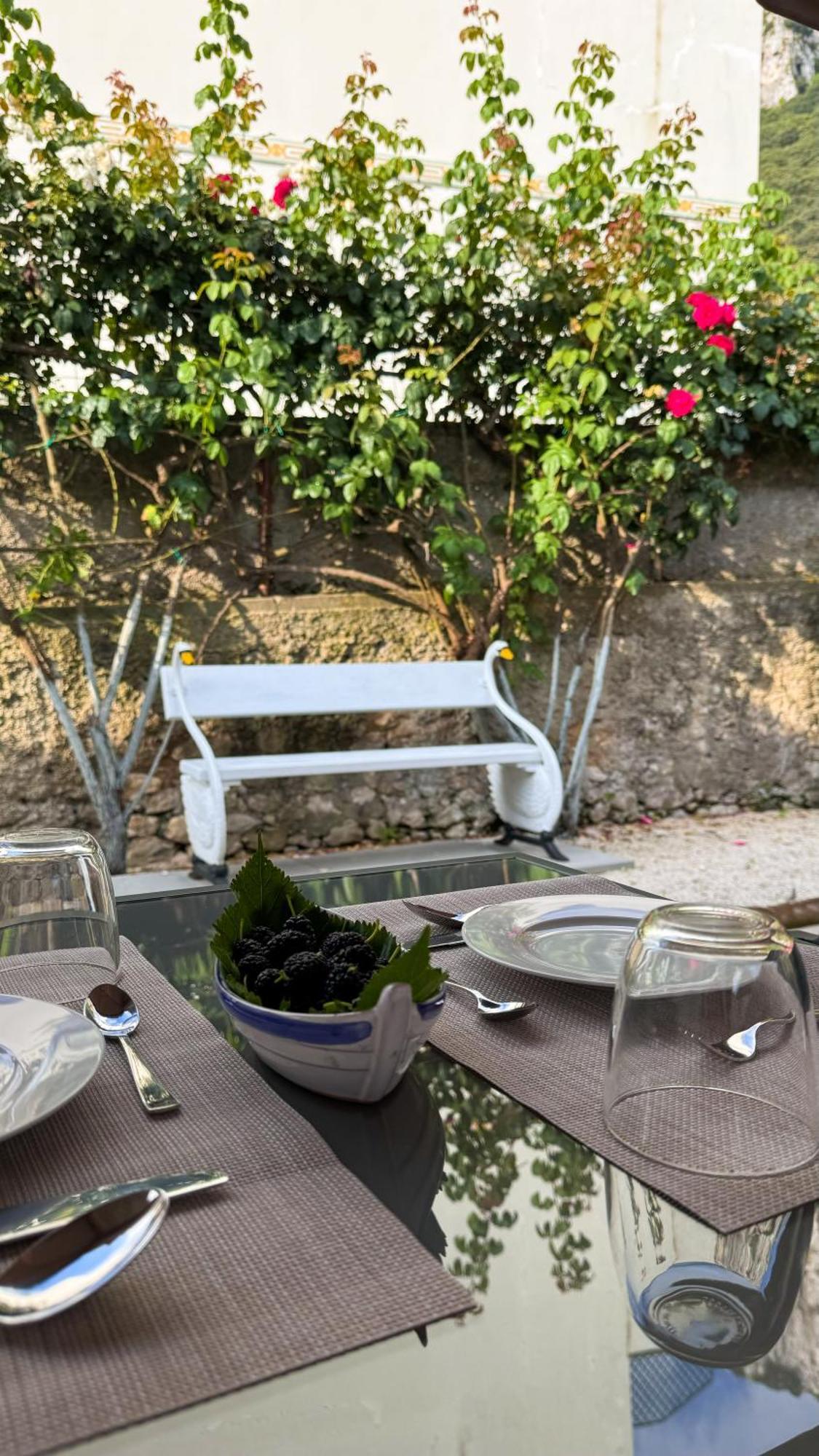 Il Cigno B&B カプリ エクステリア 写真